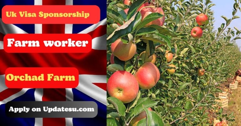 Uk Orchard Farmworker Jobs with Visa Sponsorship 2024