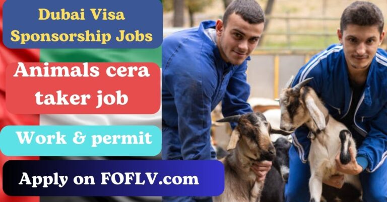 Animal Caretaker Jobs with Visa Sponsorship in Dubai (2024)
