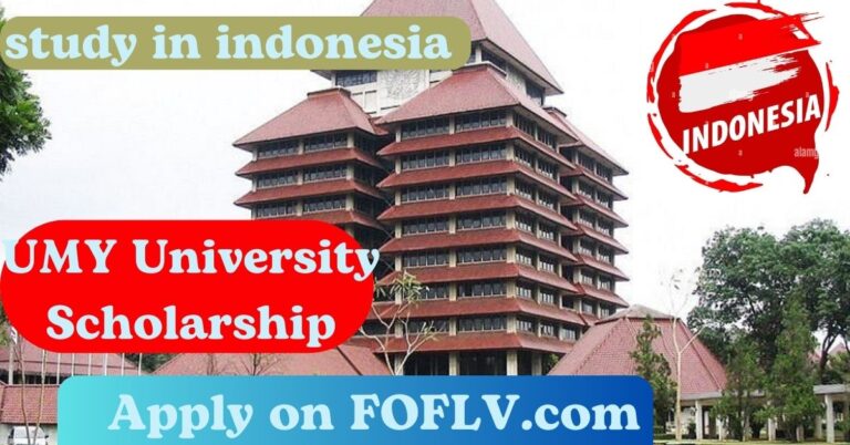 Your Chance to Shine! Apply for UMY University's International Scholarships