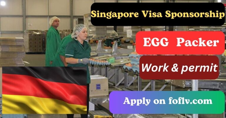 Singapore Egg Packer Jobs 2024: Launch Your Career in Egg Production