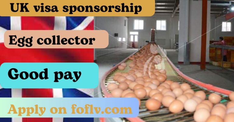 Egg Collector Jobs in the UK with Visa Sponsorship (2024)