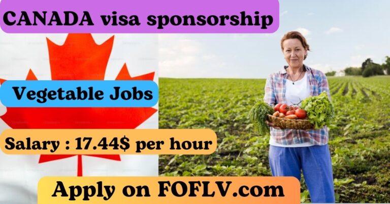 Grow Your Career & Fresh Produce: Vegetable Farm Worker Jobs 2024