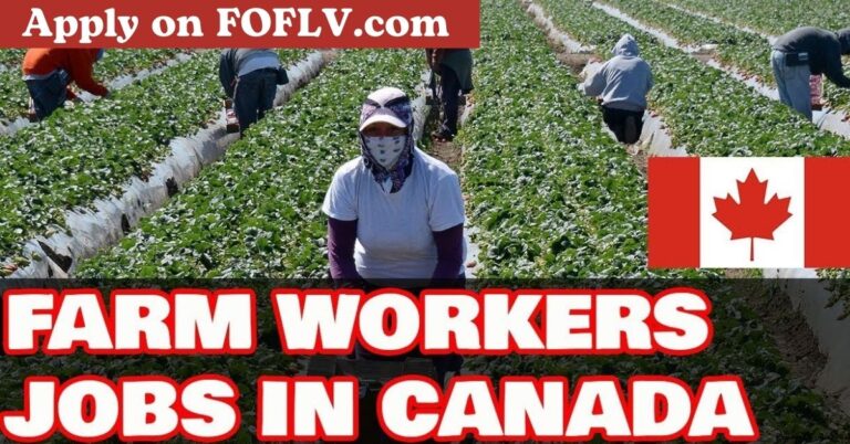 How to Get a Canadian Farm Worker Visa & Land Your Dream Job (2024)