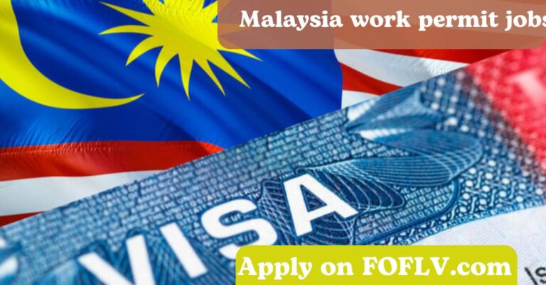 Malaysia Work Permit Jobs vs. Professional Visit Pass: Which is Right for You? (2024) (Compares options)