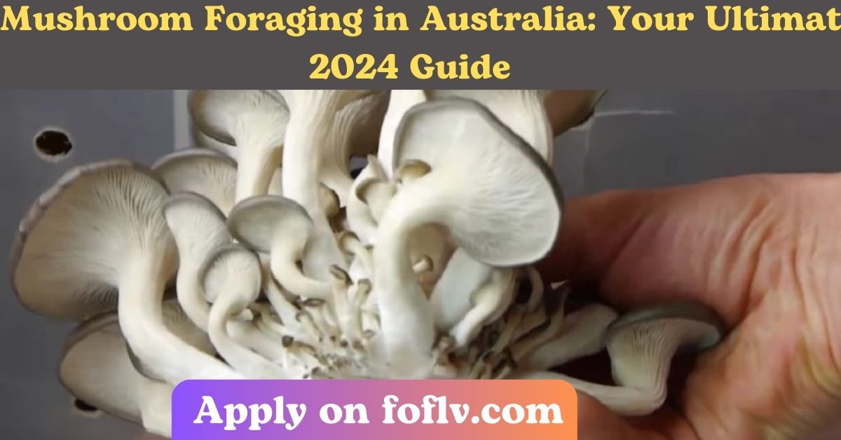 Mushroom Foraging in Australia: Your Ultimate June 2024 Guide (Targets general audience)